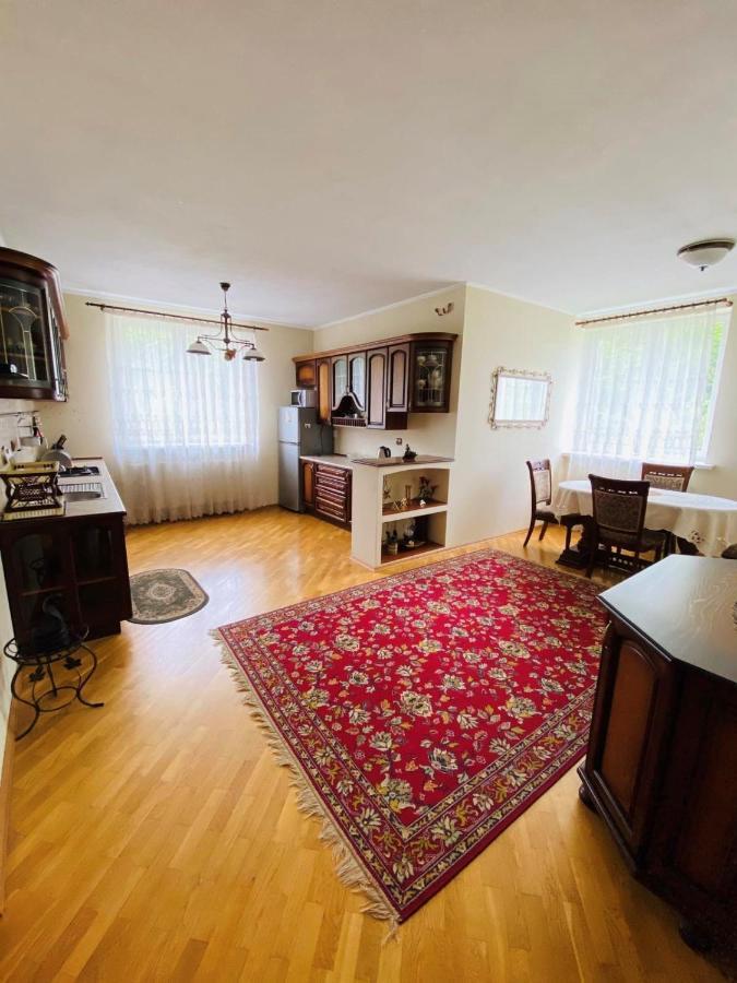 Guest House At Lesya Ukrainka Τρούσκαβετς Εξωτερικό φωτογραφία